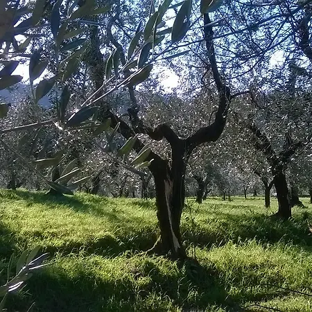 Vakantieboerderij Pacinotti Pistoia