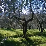 مزرعة للإقامة Pacinotti بستويا