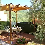 Pacinotti