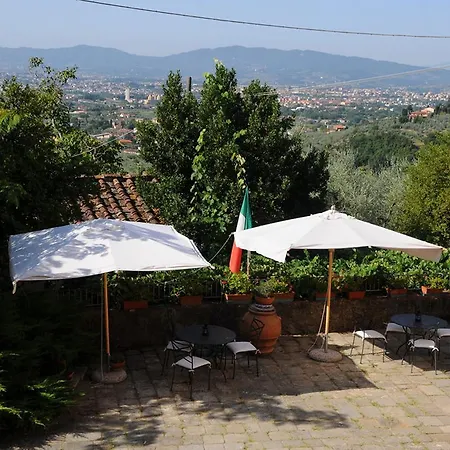 Farma Pacinotti